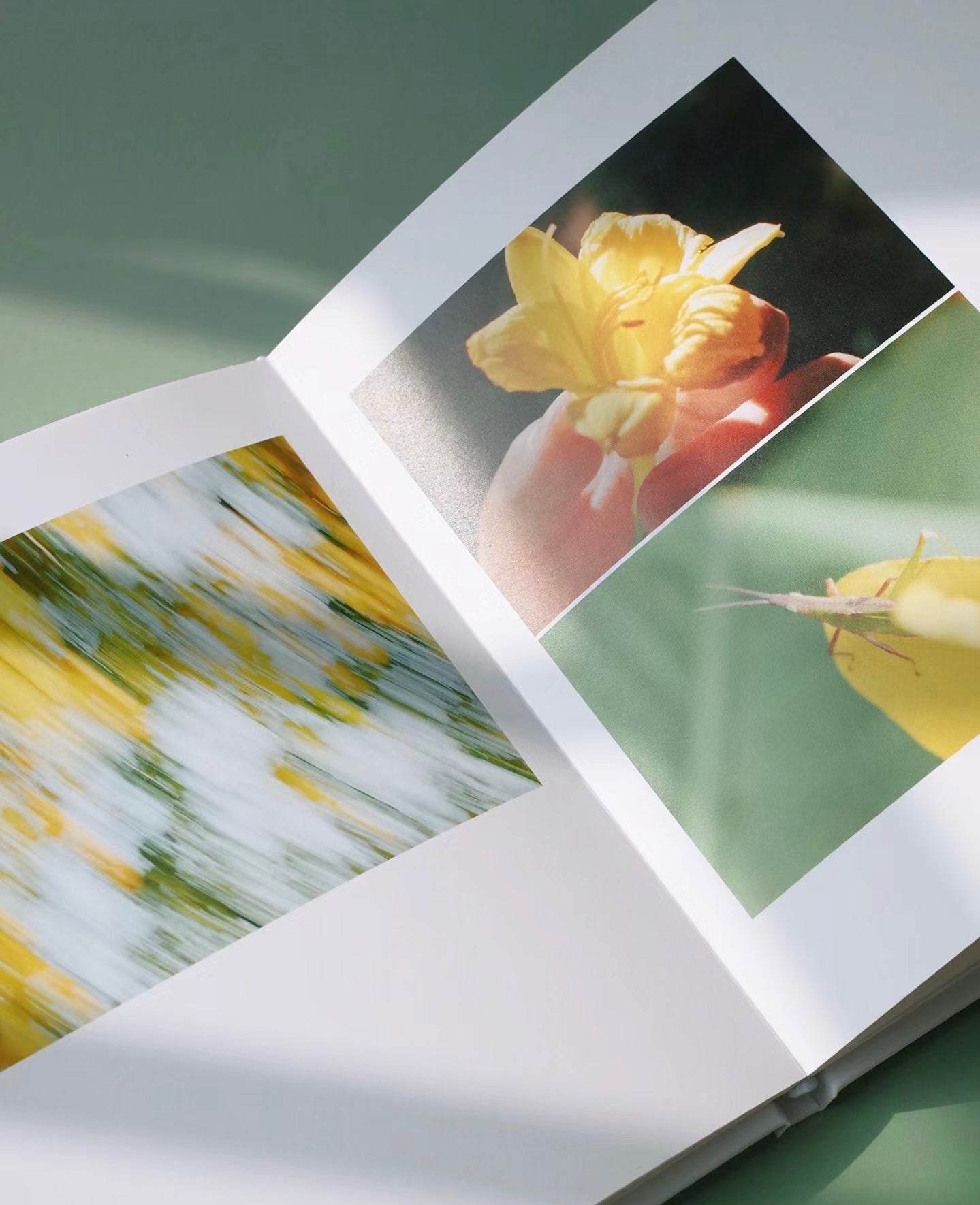 Hardcover Photo Book - 30 pages